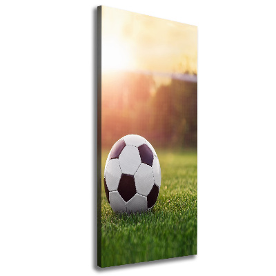 Cuadro canvas decorativo para salón vertical Fútbol americano