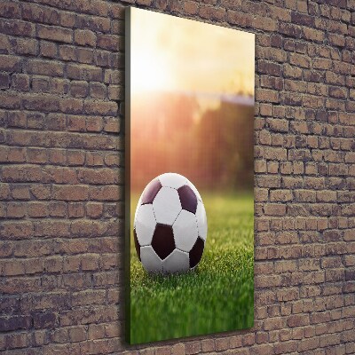 Cuadro canvas decorativo para salón vertical Fútbol americano
