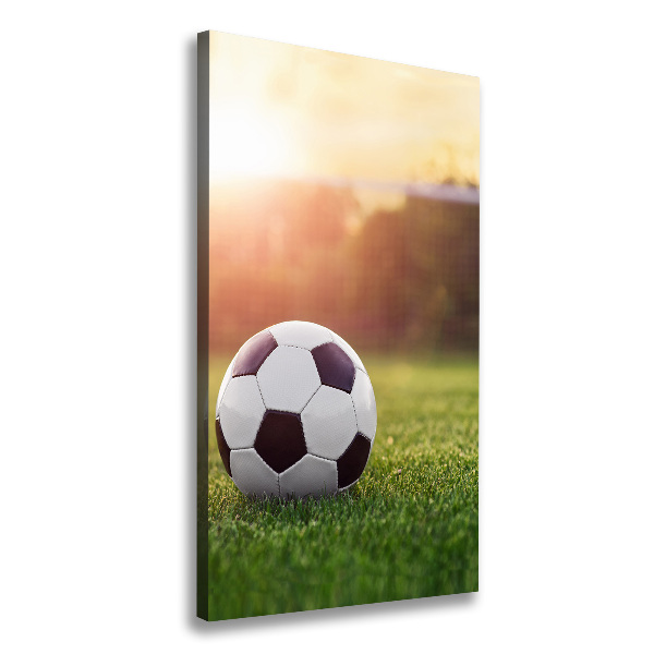 Cuadro canvas decorativo para salón vertical Fútbol americano