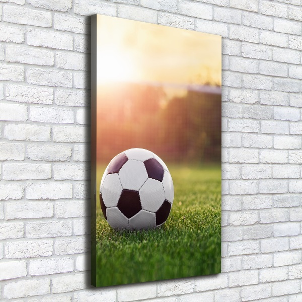 Cuadro canvas decorativo para salón vertical Fútbol americano
