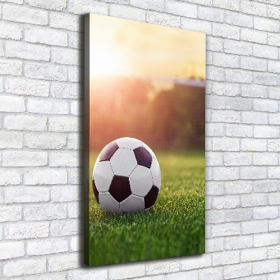 Cuadro canvas decorativo para salón vertical Fútbol americano