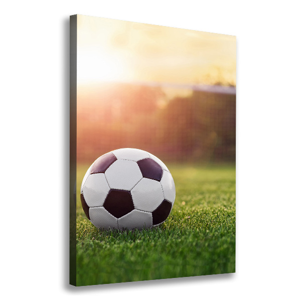 Cuadro canvas decorativo para salón vertical Fútbol americano