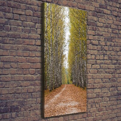 Cuadro canvas decorativo para salón vertical bosque de abedules