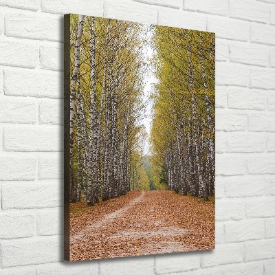 Cuadro canvas decorativo para salón vertical bosque de abedules