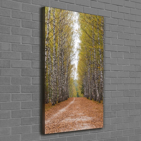 Cuadro canvas decorativo para salón vertical bosque de abedules