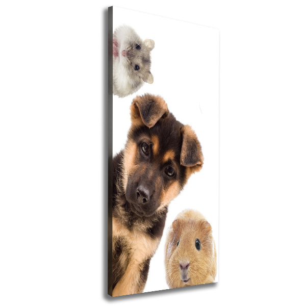 Cuadro canvas decorativo para salón vertical Mascotas