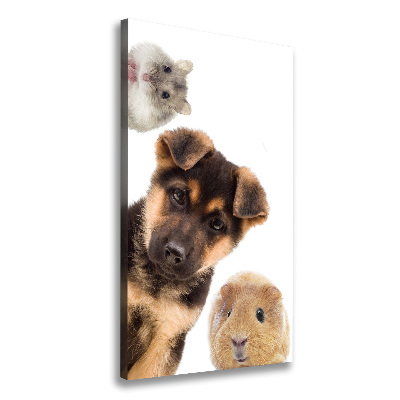 Cuadro canvas decorativo para salón vertical Mascotas