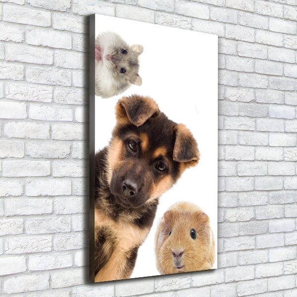 Cuadro canvas decorativo para salón vertical Mascotas