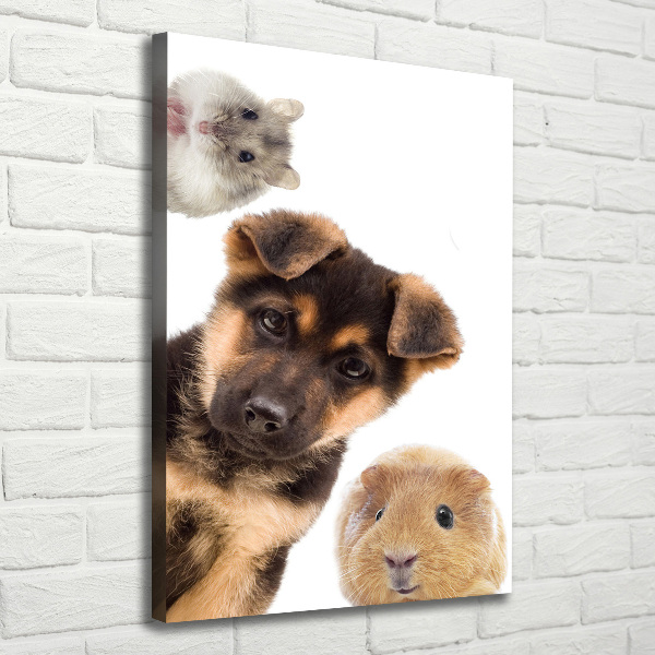 Cuadro canvas decorativo para salón vertical Mascotas