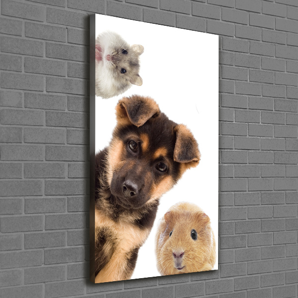 Cuadro canvas decorativo para salón vertical Mascotas