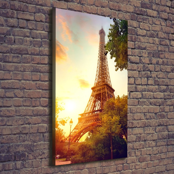 Cuadro canvas decorativo para salón vertical Torre Eiffel de París
