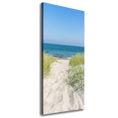 Cuadro canvas decorativo para salón vertical Dunas costeras