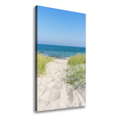 Cuadro canvas decorativo para salón vertical Dunas costeras