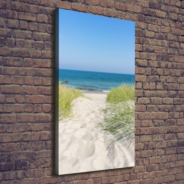 Cuadro canvas decorativo para salón vertical Dunas costeras