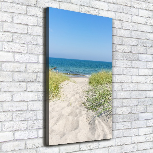 Cuadro canvas decorativo para salón vertical Dunas costeras