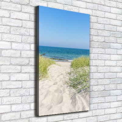 Cuadro canvas decorativo para salón vertical Dunas costeras