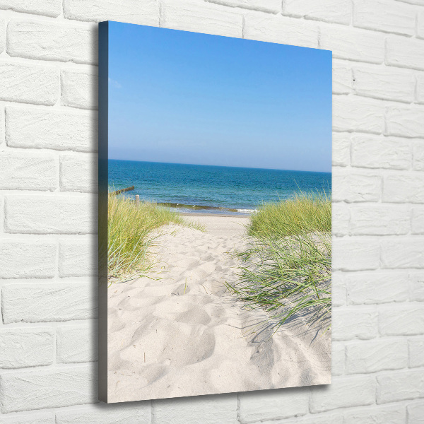 Cuadro canvas decorativo para salón vertical Dunas costeras