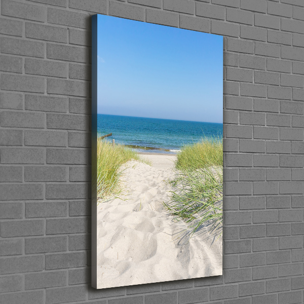 Cuadro canvas decorativo para salón vertical Dunas costeras