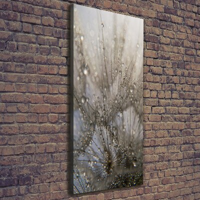 Fotografía en lienzo vertical semillas de diente de león