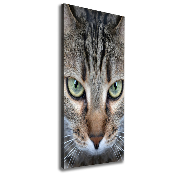 Cuadro canvas decorativo para salón vertical ojos de gato