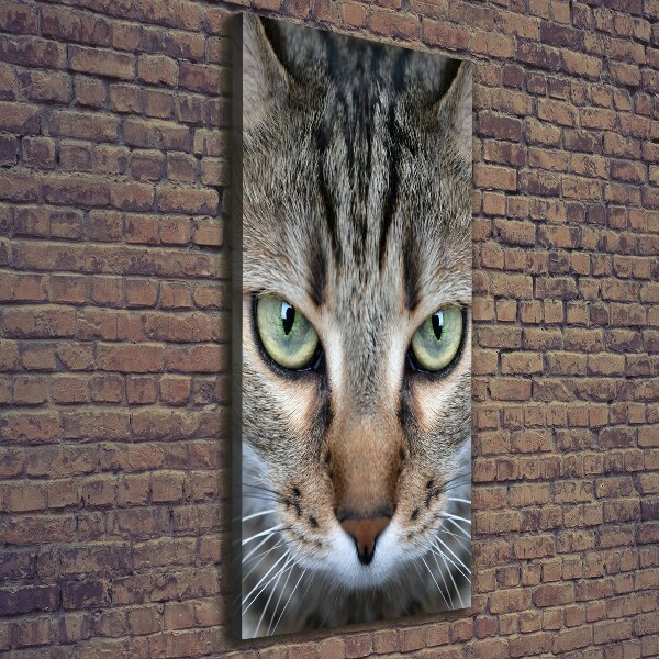 Cuadro canvas decorativo para salón vertical ojos de gato