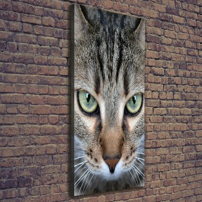Cuadro canvas decorativo para salón vertical ojos de gato