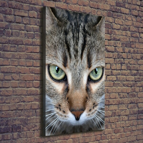 Cuadro canvas decorativo para salón vertical ojos de gato