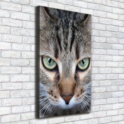 Cuadro canvas decorativo para salón vertical ojos de gato