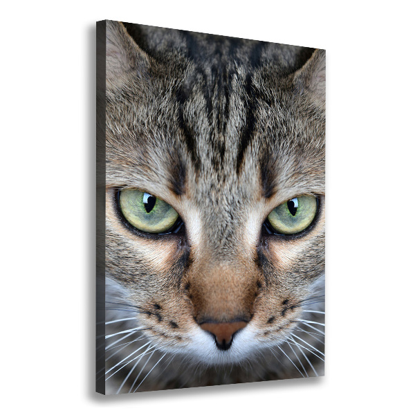 Cuadro canvas decorativo para salón vertical ojos de gato