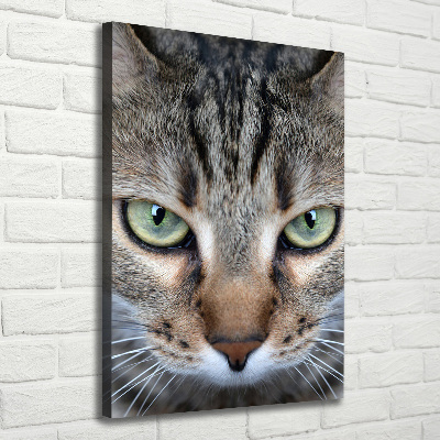 Cuadro canvas decorativo para salón vertical ojos de gato