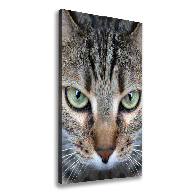 Cuadro canvas decorativo para salón vertical ojos de gato