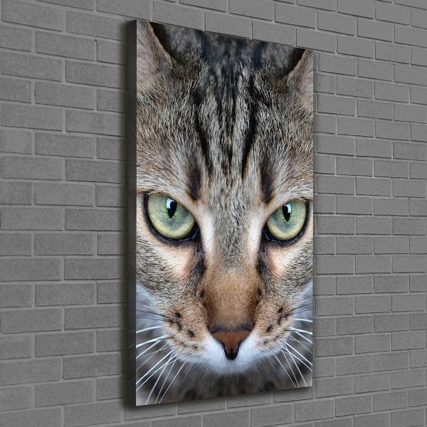 Cuadro canvas decorativo para salón vertical ojos de gato