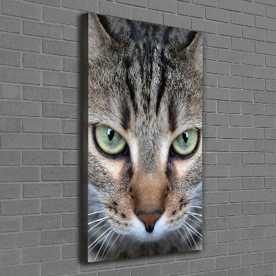 Cuadro canvas decorativo para salón vertical ojos de gato