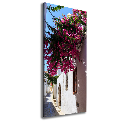 Fotografía en lienzo vertical Rodas, Grecia