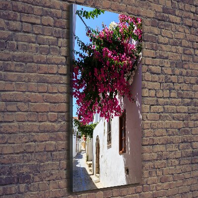 Fotografía en lienzo vertical Rodas, Grecia
