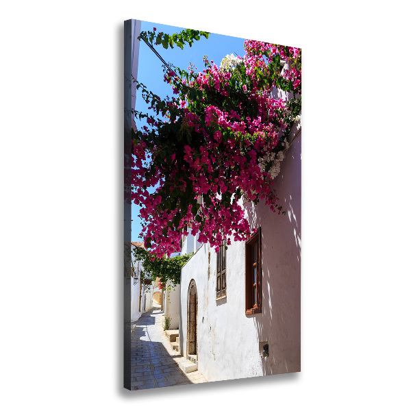 Fotografía en lienzo vertical Rodas, Grecia