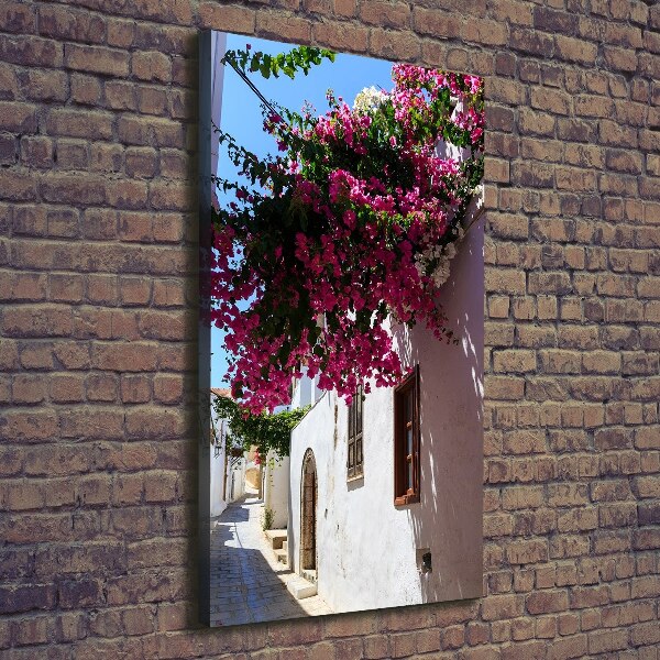 Fotografía en lienzo vertical Rodas, Grecia