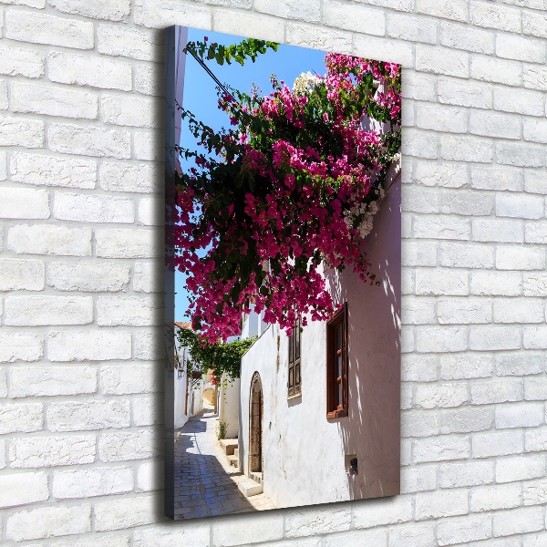 Fotografía en lienzo vertical Rodas, Grecia