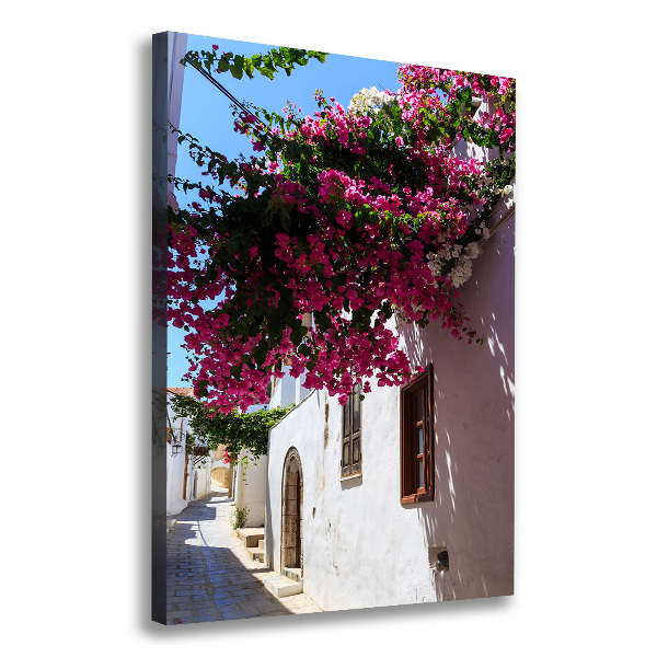 Fotografía en lienzo vertical Rodas, Grecia