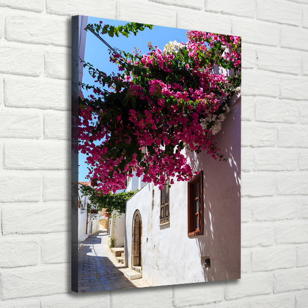 Fotografía en lienzo vertical Rodas, Grecia