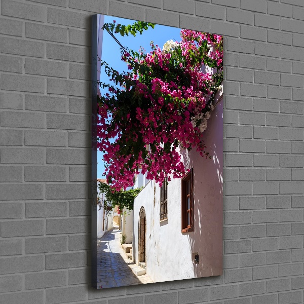 Fotografía en lienzo vertical Rodas, Grecia