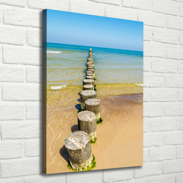 Fotografía en lienzo vertical Rompeolas