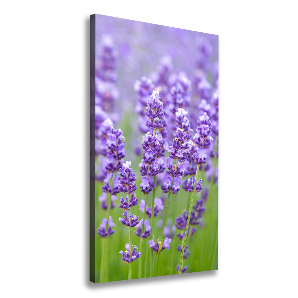 Cuadro canvas decorativo para salón vertical campo de lavanda