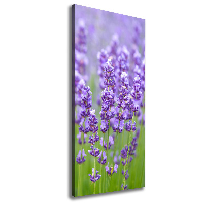 Cuadro canvas decorativo para salón vertical campo de lavanda