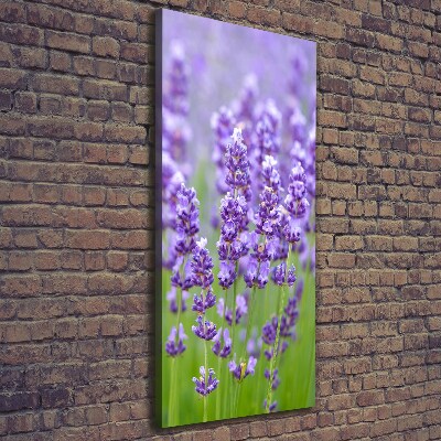 Cuadro canvas decorativo para salón vertical campo de lavanda