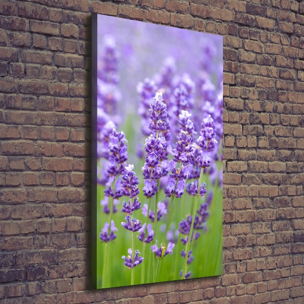 Cuadro canvas decorativo para salón vertical campo de lavanda