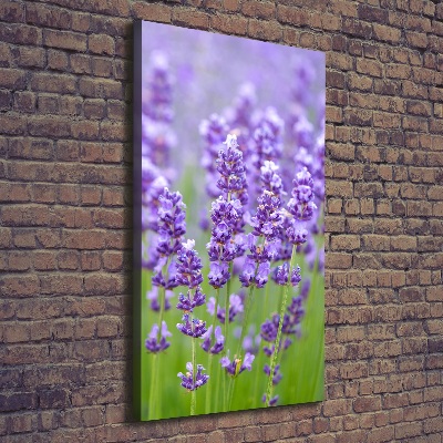 Cuadro canvas decorativo para salón vertical campo de lavanda