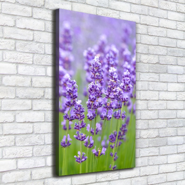 Cuadro canvas decorativo para salón vertical campo de lavanda