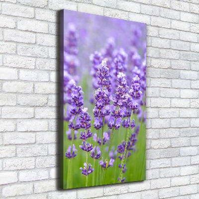 Cuadro canvas decorativo para salón vertical campo de lavanda