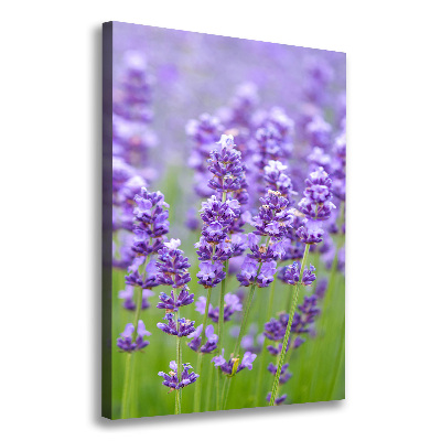 Cuadro canvas decorativo para salón vertical campo de lavanda